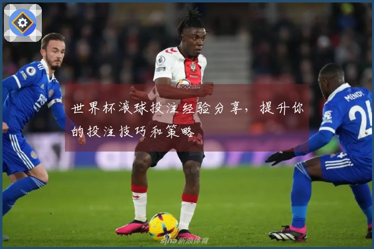 世界杯滚球投注经验分享，提升你的投注技巧和策略