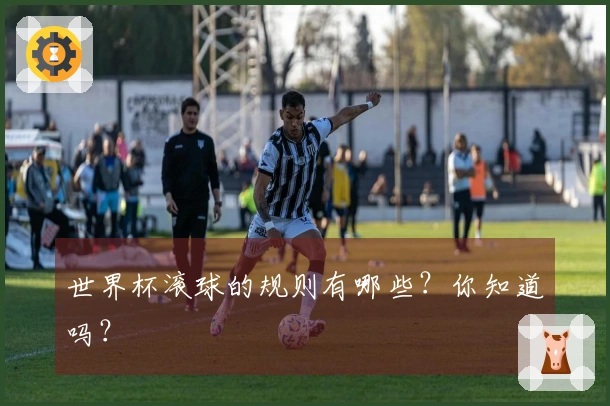 世界杯滚球的规则有哪些？你知道吗？