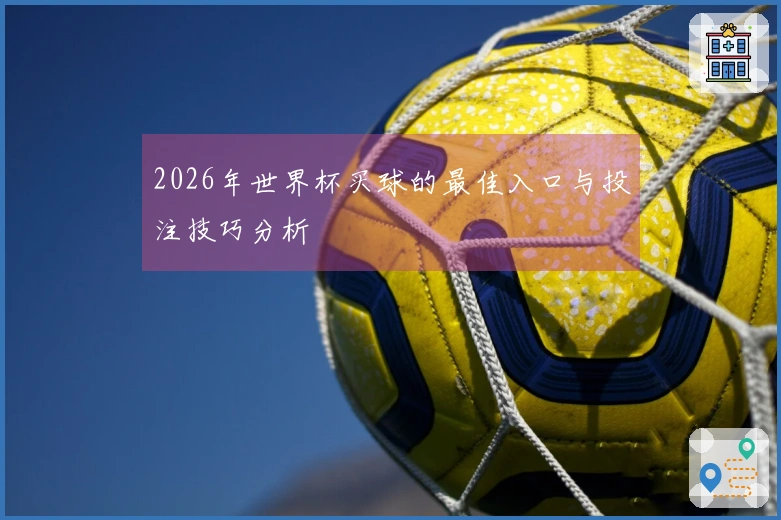 2026年世界杯买球的最佳入口与投注技巧分析