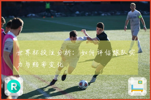 世界杯投注分析：如何评估球队实力与赔率变化