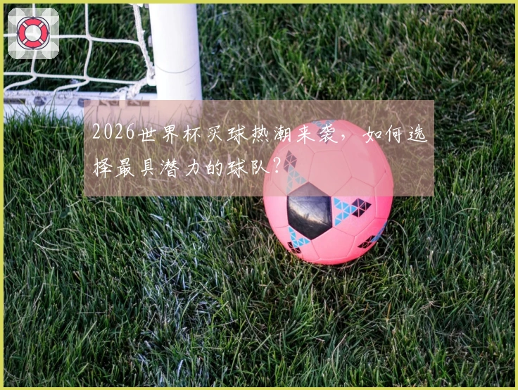 2026世界杯买球热潮来袭，如何选择最具潜力的球队？