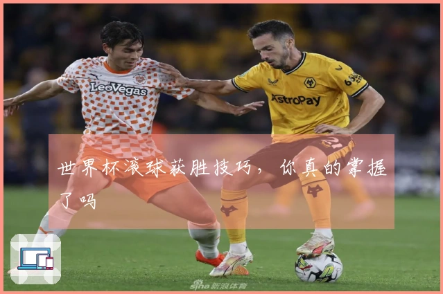 世界杯滚球获胜技巧，你真的掌握了吗