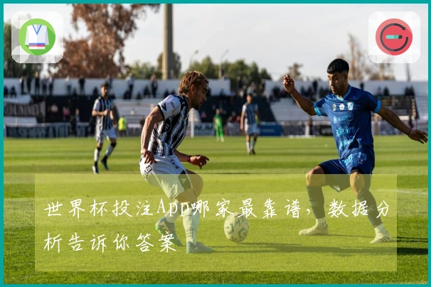 世界杯投注App哪家最靠谱，数据分析告诉你答案