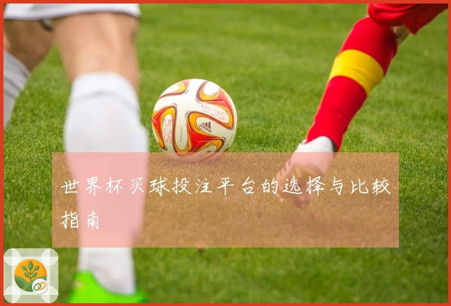 世界杯买球投注平台的选择与比较指南